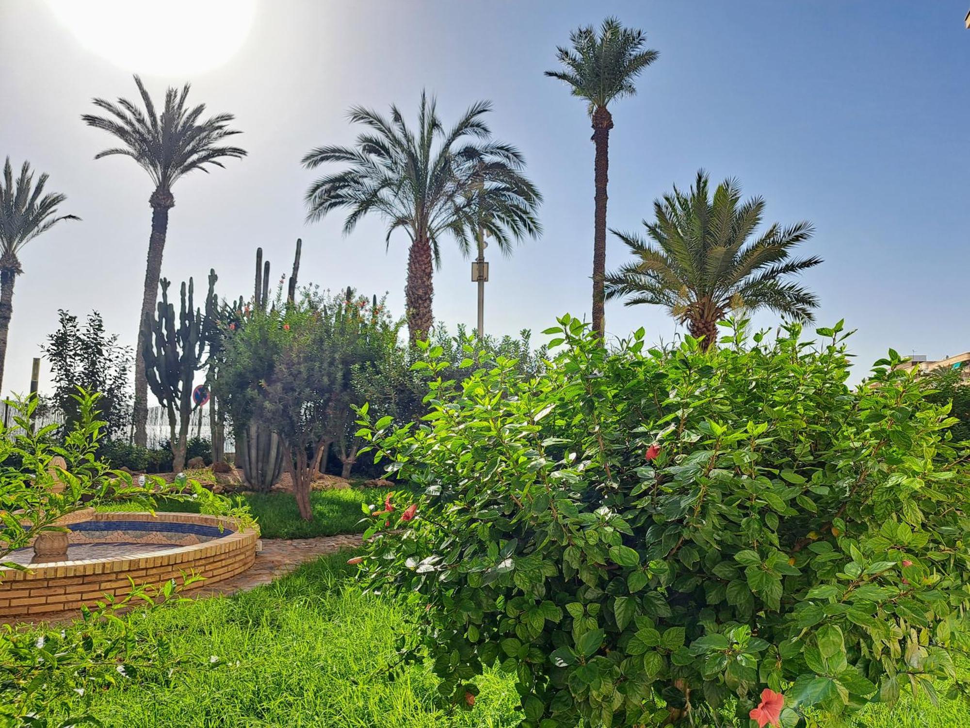 Garden Beach Apartment تورّيفيِخا المظهر الخارجي الصورة